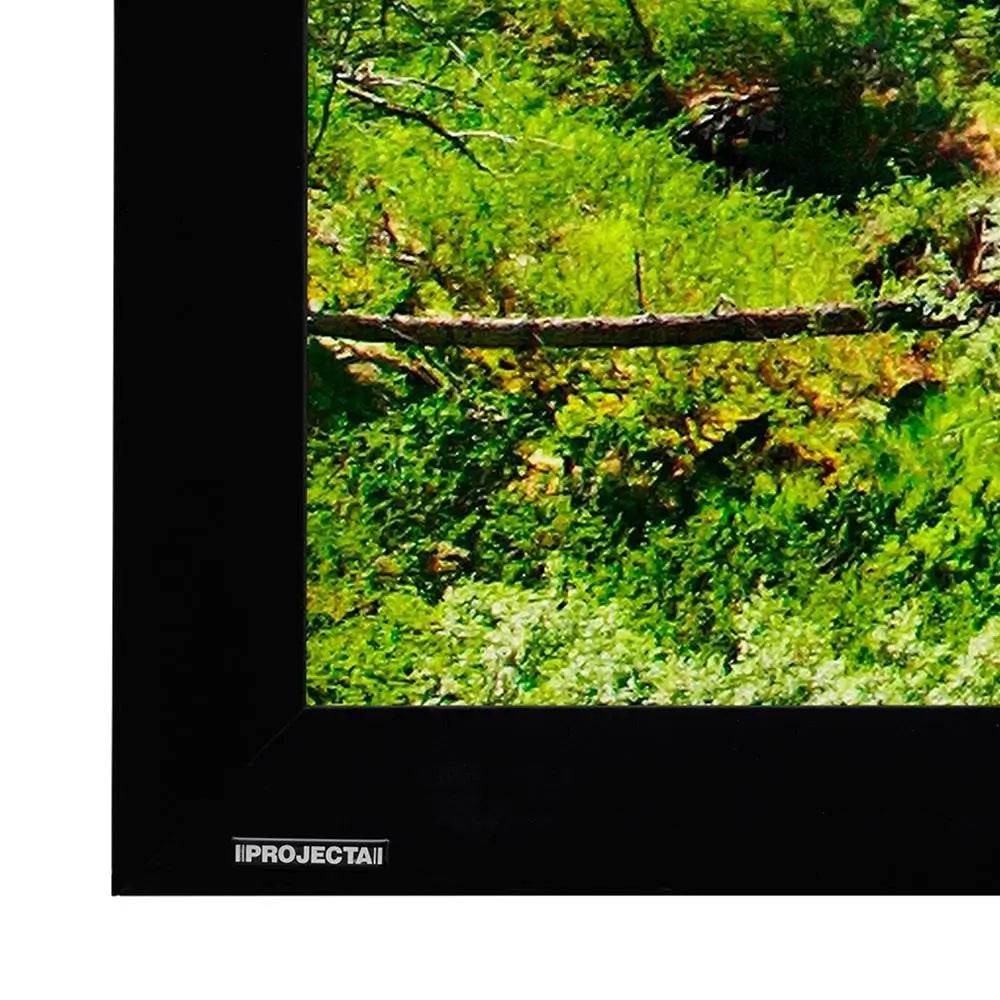 Projecta Da-Lite Gespande Vaste Raam Skerm