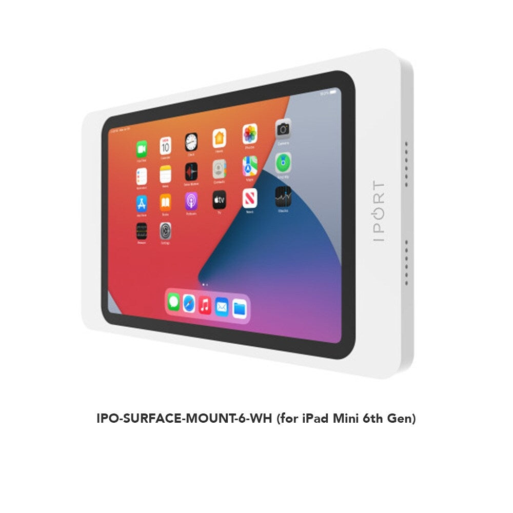 iPort Surface Mount Case 19