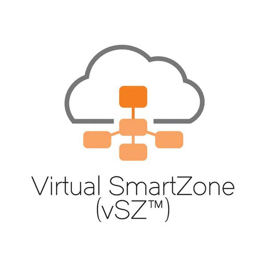 Ruckus Virtual SmartZone vSZ Virtual Appliance Controller 1 Instance, Includes 1 AP License 